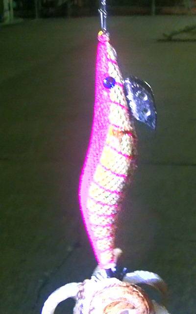 焼津港、ヒラメ、コウイカ、タコ、カマスが好調